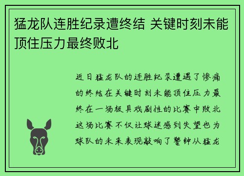 猛龙队连胜纪录遭终结 关键时刻未能顶住压力最终败北